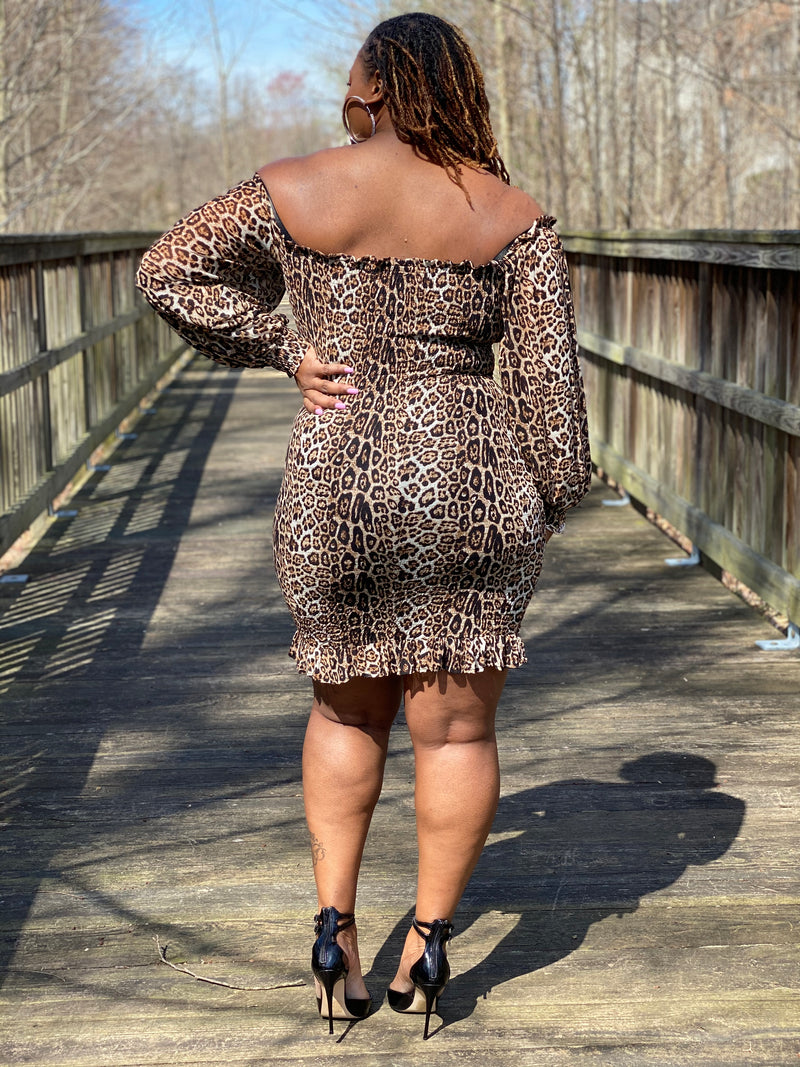 Ruffles and Leopard Mini Dress